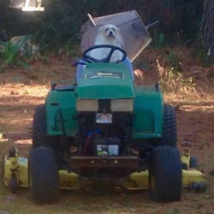 Meet your Posher, Joann